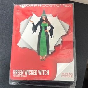 Women's Green Witch Costume